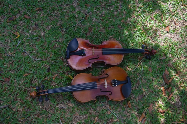 Két Hegedű Zöld Füvön Földszinten Akusztikus Hangszer Részleteit Mutatják — Stock Fotó