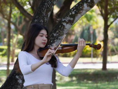 Elinde keman tutan genç ve güzel bir bayan, akustik enstrüman çalmayı göster, parkta hobi yap, etrafta bulanık ışık tut.