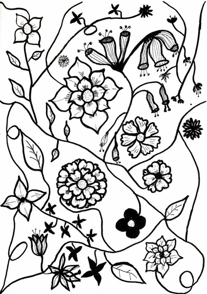 Desenho Manual Flor Folha Com Tinta Preta Sobre Papel Branco — Fotografia de Stock