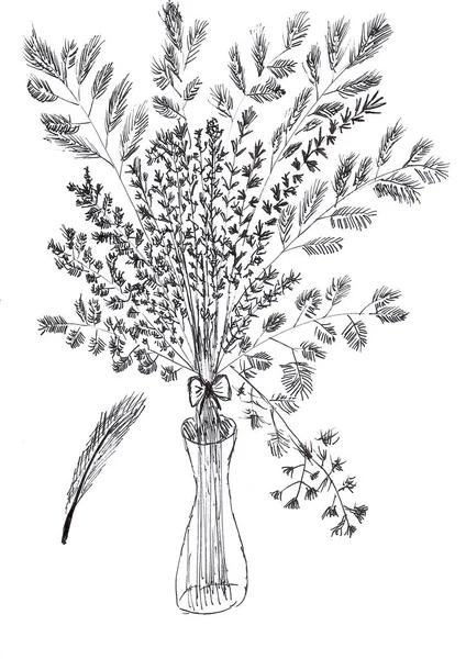 Desenho Mão Flores Grama Garrafa Com Tinta Preta Papel Branco — Fotografia de Stock