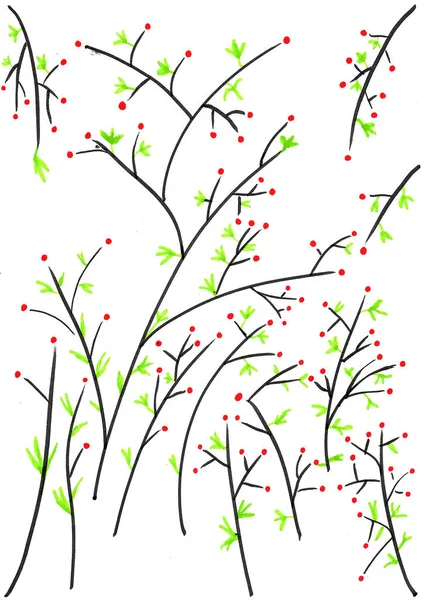 Hand Drawing Black Branch Red Dot Green Leaves White Background — Stock Photo, Image