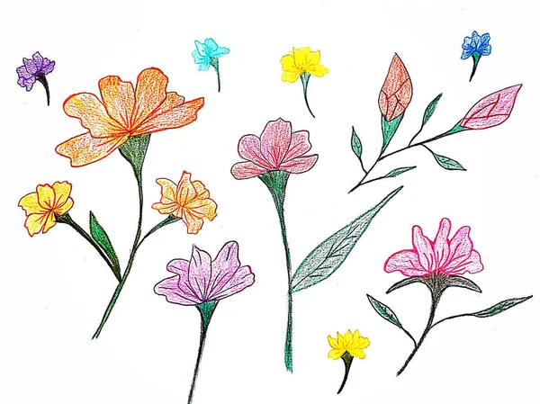 Χειροποίητο Σχέδιο Λουλουδιού Και Μπογιάς Χρώματα Μολυβιού Λευκό Χαρτί — Φωτογραφία Αρχείου