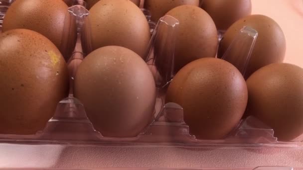 Eier Mit Brauner Schale Auf Hintergrund Gelegt — Stockvideo