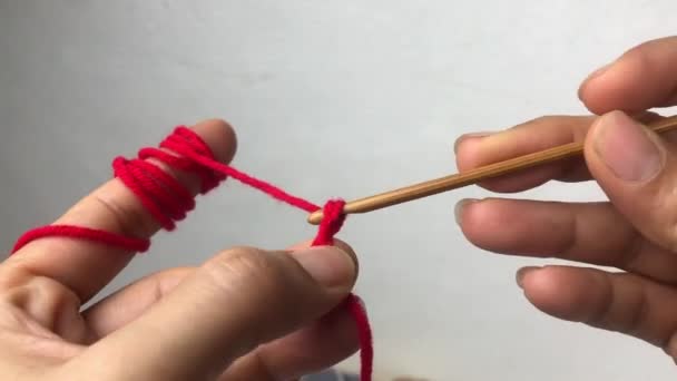 Woman Hand Using Crochet Hook Yarn Kniting Work — Stock Video