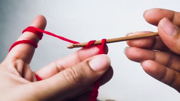 Woman Hand Using Crochet Hook Yarn Kniting Work — 图库视频影像