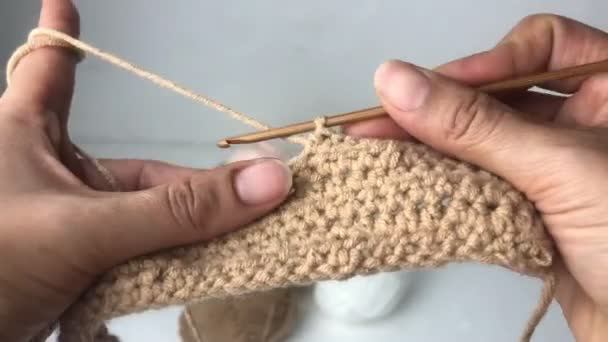 Woman Hand Using Crochet Hook Yarn Kniting Work — Stock Video