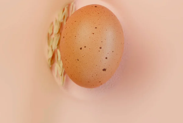 Diseño Abstracto Egg Con Cáscara Marrón Puesto Medio Fondo Pastel —  Fotos de Stock
