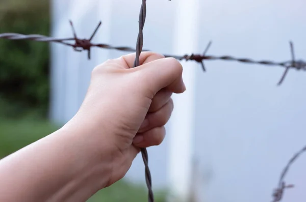 Human Hand Cover Old Aged Barbwire Blurry Light — Stock Photo, Image