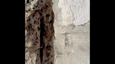 Dala asılı taze biber, etrafta yeşil yaprak, pişirmek için ham malzeme, bulanık ışık..