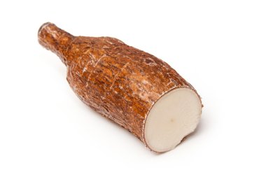 Cassava veya manyok kökleri