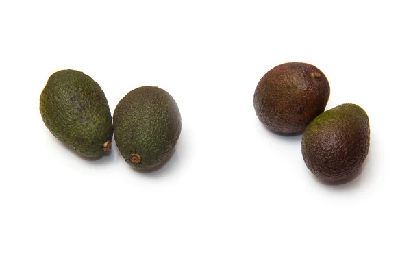 Avocado's isolated — Stock Photo, Image