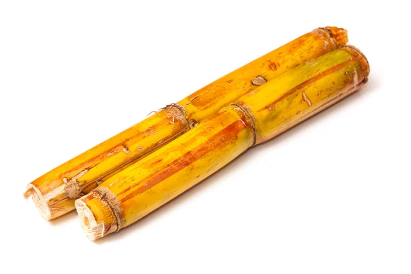 Sugar cane — Stock Photo, Image