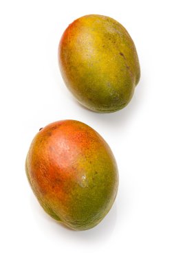 taze mango 