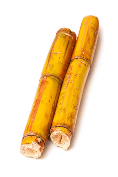 Sugar cane — Stock Photo, Image