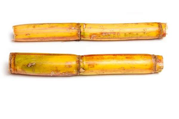 Sugar cane — Stock Photo, Image