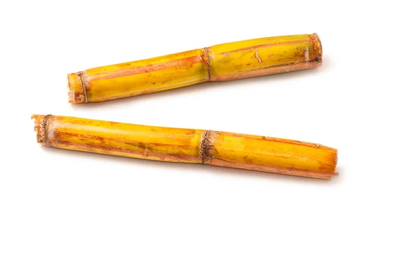 Sugar cane — Stock Photo, Image