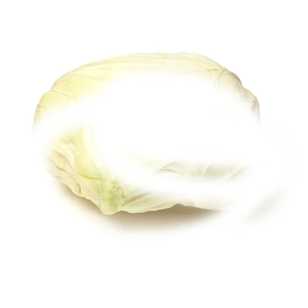 Japanese style flat white cabbage — Stock Photo, Image