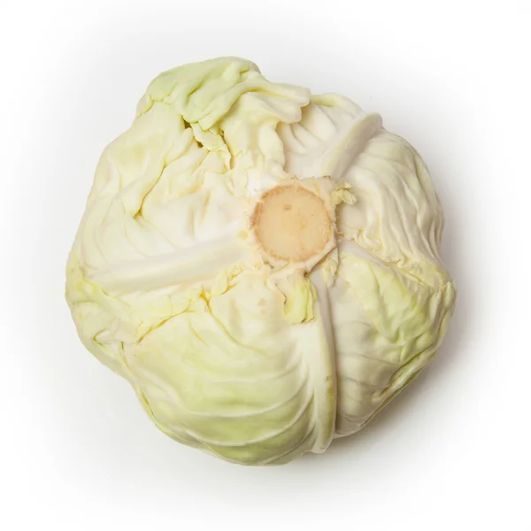 Japon tarzı düz beyaz lahana — Stok fotoğraf