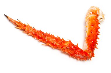 Peruvian King crab leg clipart