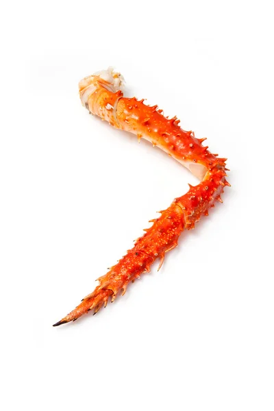 Peruvian King crab leg — Stock Photo, Image