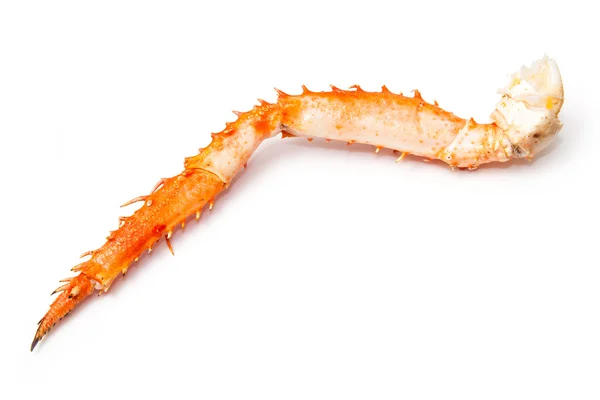 Peruvian King crab leg — Stock Photo, Image