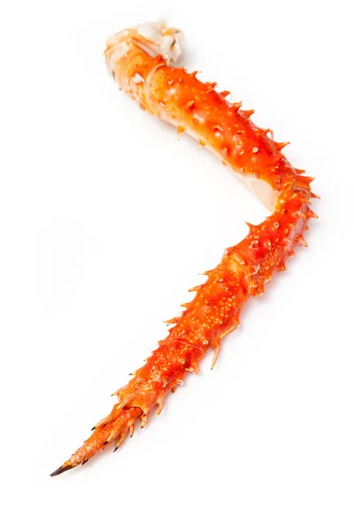 Peruvian King crab leg — Stock Photo, Image