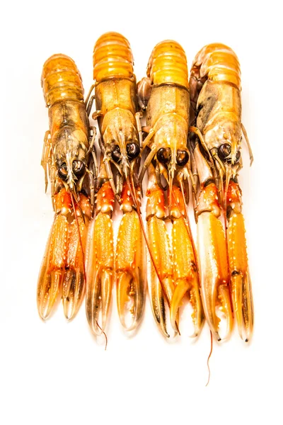 Langoustin (nephrops norvegicus)) — Stockfoto