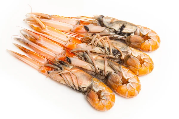 Cigalas (nephrops norvegicus) —  Fotos de Stock