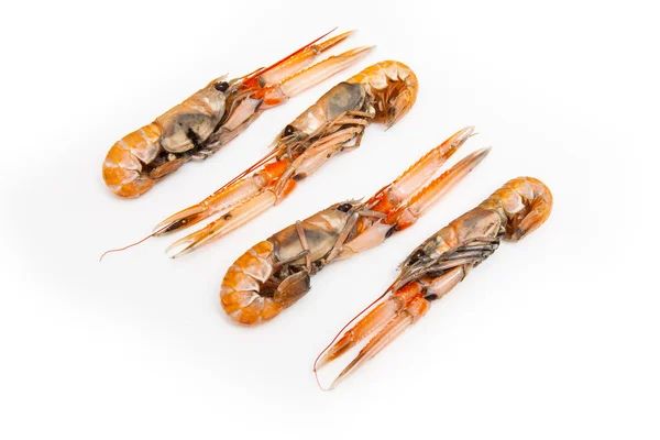 Cigalas (nephrops norvegicus) —  Fotos de Stock