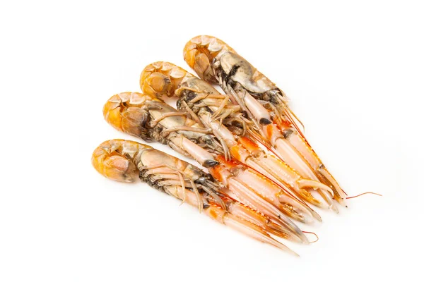 Langoustin (nephrops norvegicus)) — Stockfoto