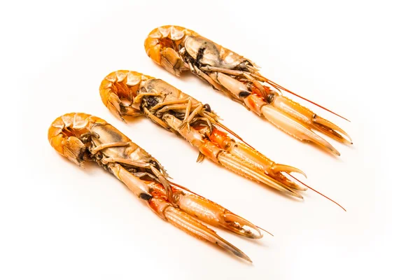 Langoustine (Nephrops norvegicus) — Stock Photo, Image