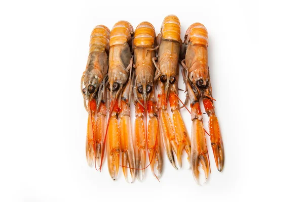 Langoustin (nephrops norvegicus)) — Stockfoto