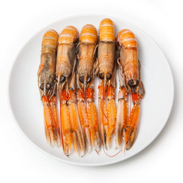 Langoustine (Nephrops norvegicus) ) — Photo