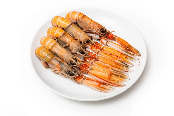 Langoustin (nephrops norvegicus)) — Stockfoto