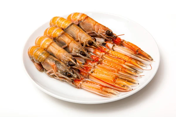 Langoustin (nephrops norvegicus)) — Stockfoto