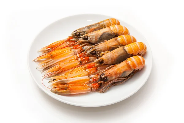 Langoustin (nephrops norvegicus)) — Stockfoto