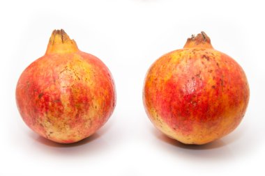 İki nar meyve veya Punica granatum