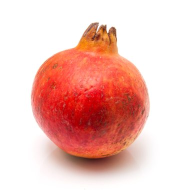Nar meyve veya Punica granatum