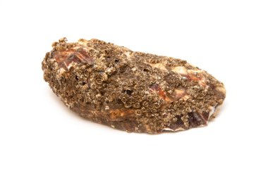 Büyük çiğ istiridye