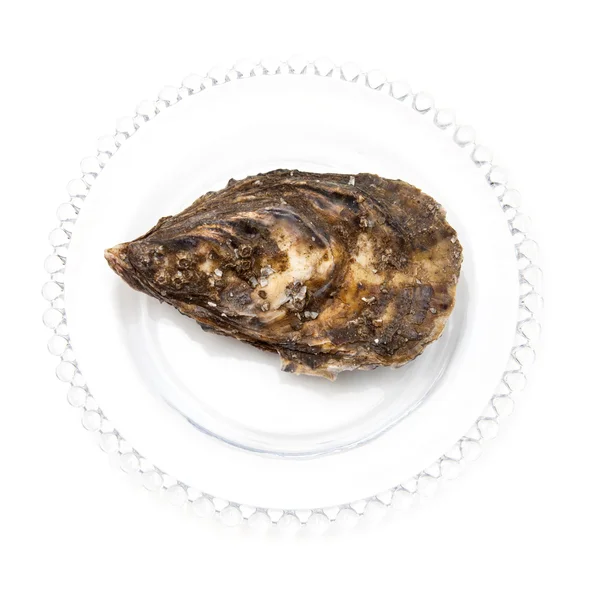 Grote rauwe oesters — Stockfoto