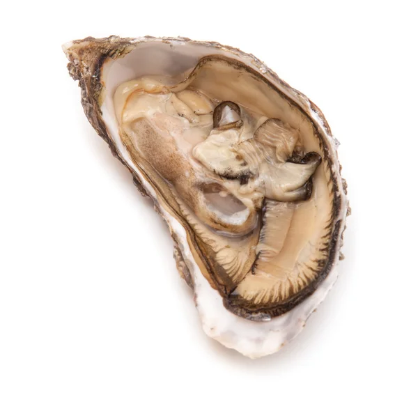 Grote rauwe oesters — Stockfoto