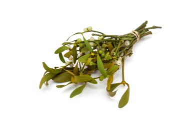 Ökse otu avuç yakın çekim