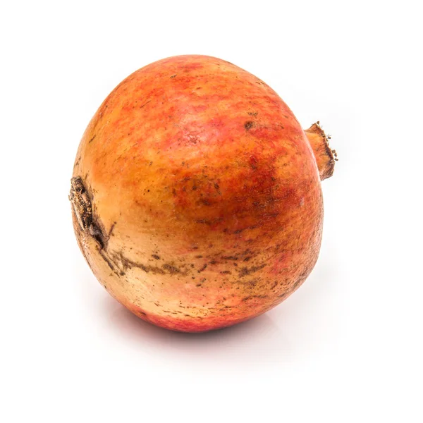 Гранатовый плод или Punica granatum — стоковое фото