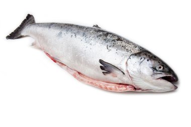 Bütün İskoç Somon Balık