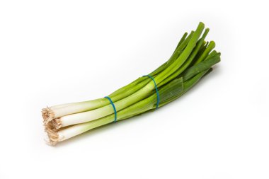 taze soğan yakın çekim