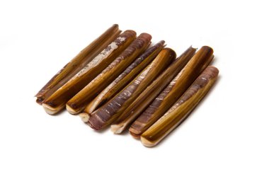 Ustura istiridye yakın çekim