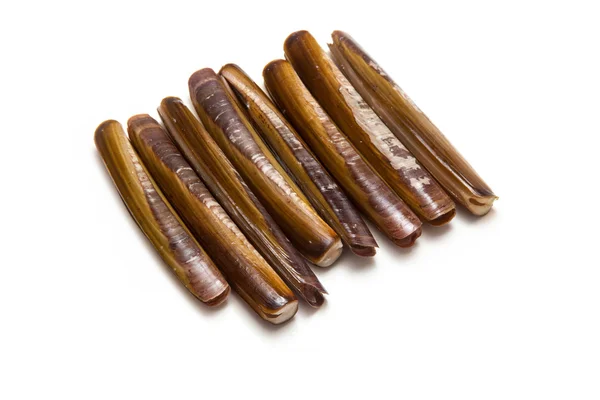 Razor Clams close up — Stock Photo, Image