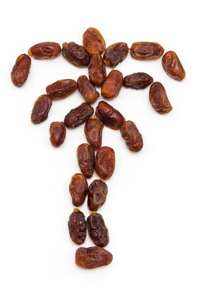 Medjool Halawi dates — Stock Photo, Image