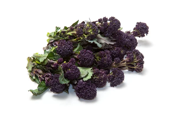 Purple sprouting broccoli — Zdjęcie stockowe