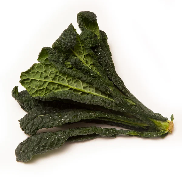 Cavolo Nero an Italian cabbage — Stock Photo, Image